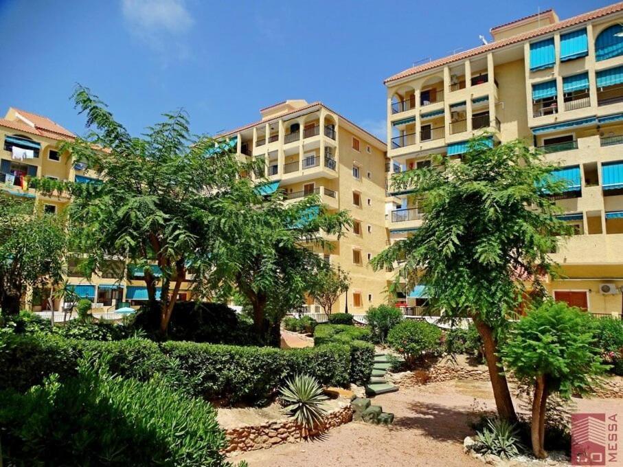 Limon - Viñamar 3 La Mata Apartamento La Mata (Torrevieja)