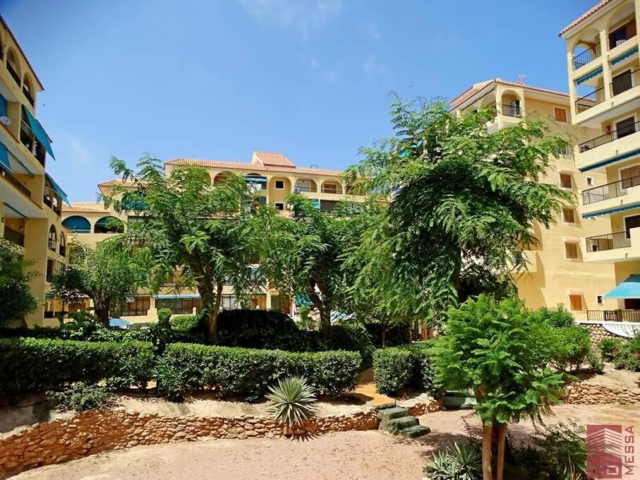 Limon, Vinamar Iii, La Mata *